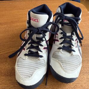 ダンクショット バスケシューズ 22cm ミニバス