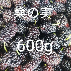 桑の実
