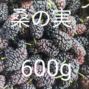 桑の実