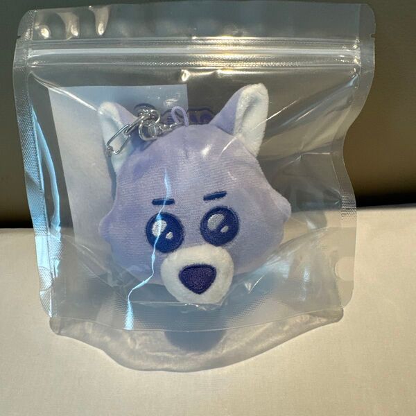 BOYNEXTDOOR No Genre BBNEXDO FACE KEYRING 韓国 ポップアップ