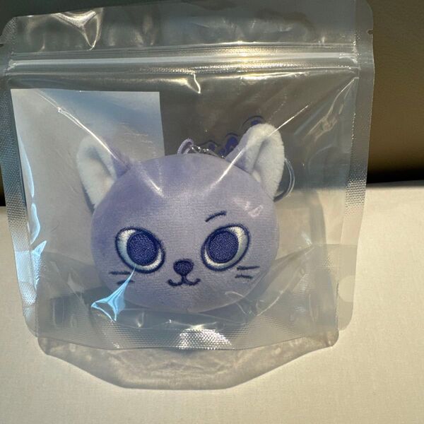 BOYNEXTDOOR NoGenre BBNEXDO FACE KEYRING CATBBI popup
