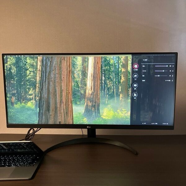 LG ウルトラワイドモニター 34インチ