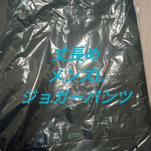 ユニクロ 丈長め Lサイズ ウルトラストレッチドライEX ジョガーパンツ