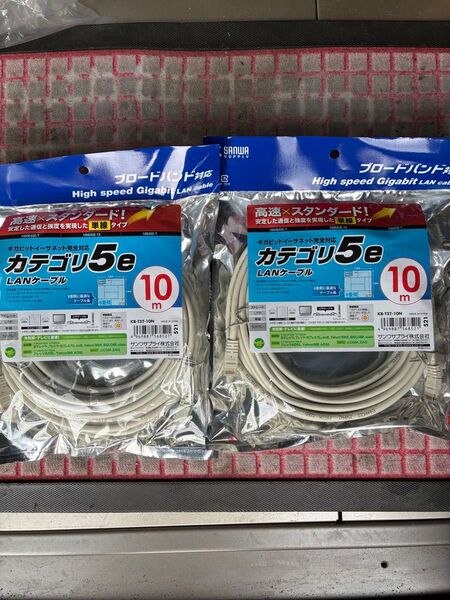 SANWA LANケーブル CAT5e 10m 2セット