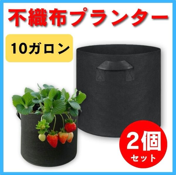 不織布プランター 10ガロン ポット ブラック 家庭菜園 植木鉢カバー 2個