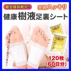 120枚60日分 足裏シート 健康樹液シート ムクマネーゼDX むくみ フットケア 個包装 疲れ リラクゼーション 美容