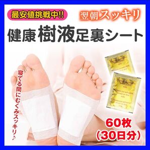足裏樹液シート ムクマネーゼDX 60枚30日分 個包装 むくみ スポーツ 旅行 疲れ 足裏シート セルフケア リラックス
