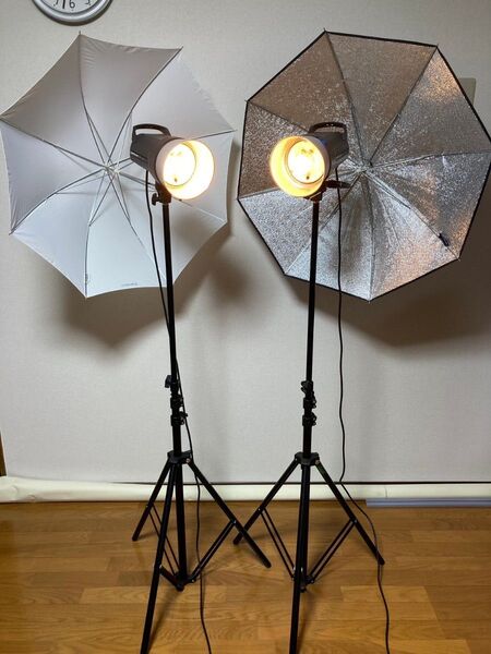 elinchrom D-Lite-it 2/4 To Go Set ストロボセット エリンクローム トランスミッター