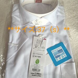 ドレスシャツ 形態安定 ワイシャツ ビジネスシャツ 37(S) 新品 ノンアイロンドレスシャツ 半袖 ④