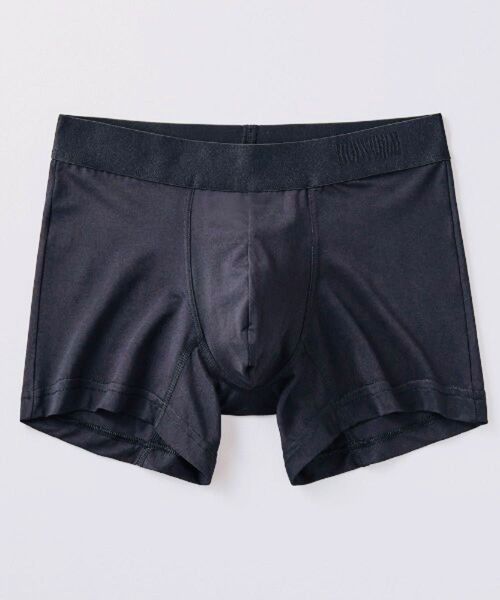 ボディワイルド BODYWILD ボクサーパンツ L 2枚 ボクサーブリーフ