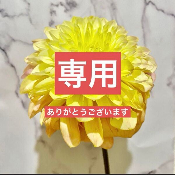 【おまとめ専用】アクシーズファム ワンピース・Swanliss ワンピース2点セット