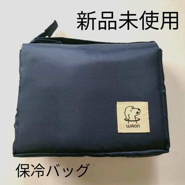 イオン 折りたたみ 保冷バッグ エコバッグ レジカゴ 大容量