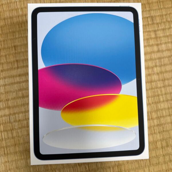 iPad A16 Wi-Fi+Celluar 256GB ブルー