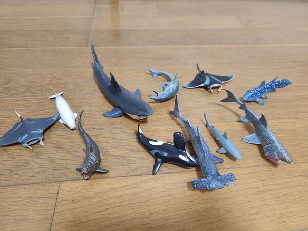サメ シャチ シーラカンス 海の生き物 まとめ売り