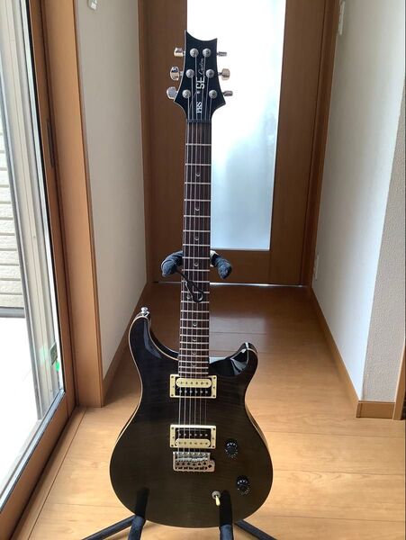 PRS SE custom 22