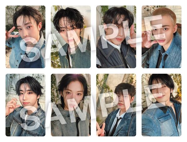 stray kids スキズ エコパ 会場限定 トレカ コンプリート 全員 18日