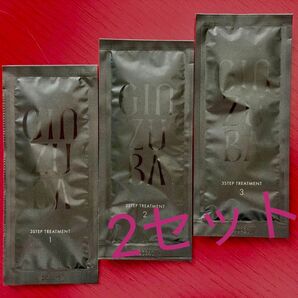 美ST ビスト 5月号 付録 GINZUBAの3ステップトリートメント 2セット