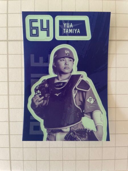 田宮裕涼選手 北海道日本ハムファイターズ カラーステッカー(ダイカットステッカー)1枚
