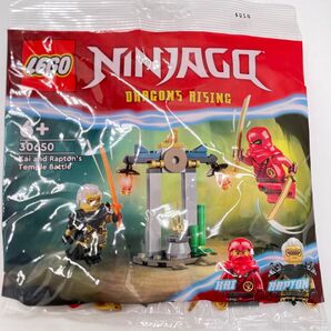 廃盤レゴ ニンジャゴー カイとラプトンの寺院での戦い 30650 未開封