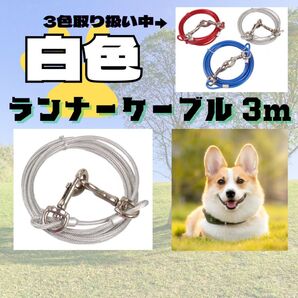 【3メートル】係留リード ランナーケーブル ロングリード 3m 白 ホワイト 鎖 ワイヤー ペット 犬 愛犬 リード