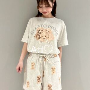【5月末発送】新品未使用 gelato pique トイプードルワンポイントTシャツ&総柄ショートパンツ グレー