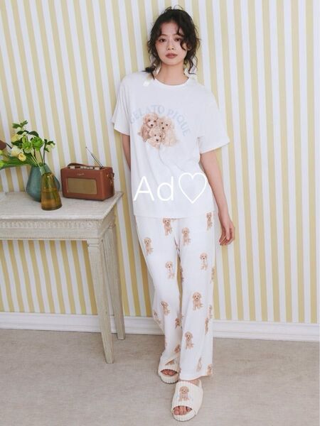 新品未使用 新作 gelato pique トイプードルワンポイントTシャツ & トイプードル柄ショートパンツ オフホワイト