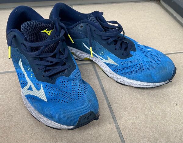Mizuno Wave Rider 28.0cm ブルー ランニング シューズ