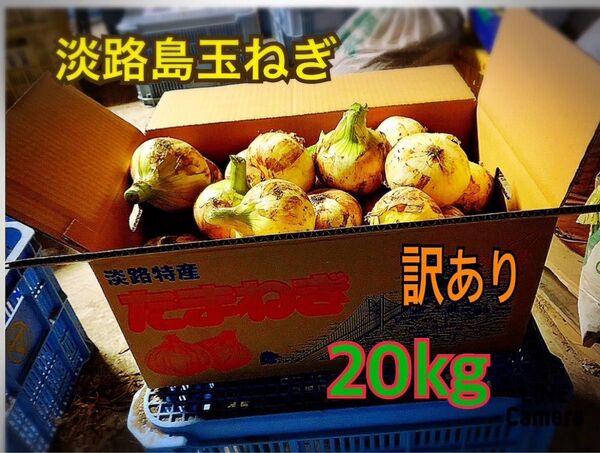 淡路島新玉ねぎ訳あり20kg