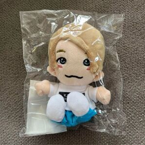 新品未開封 Aぇ!group ちびぬい 正門良規
