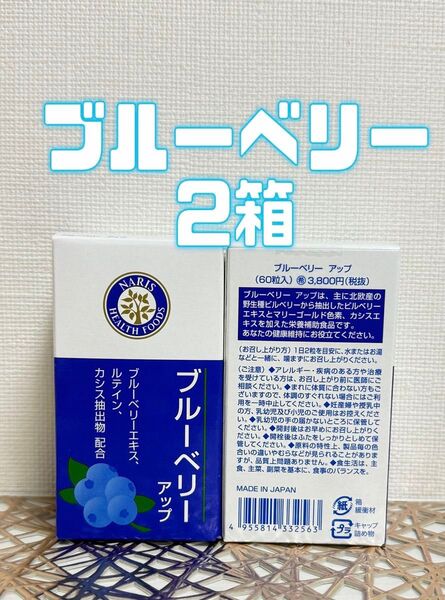 ナリス化粧品★ サプリメント ブルーベリー 2箱+おまけ付き★