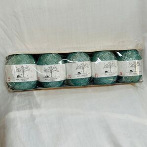ハマナカ エコアンダリヤ (色番68)5玉 グリーン系(送料込)