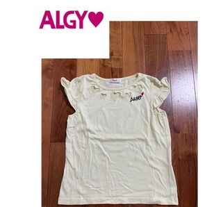 ALGY Tシャツ140