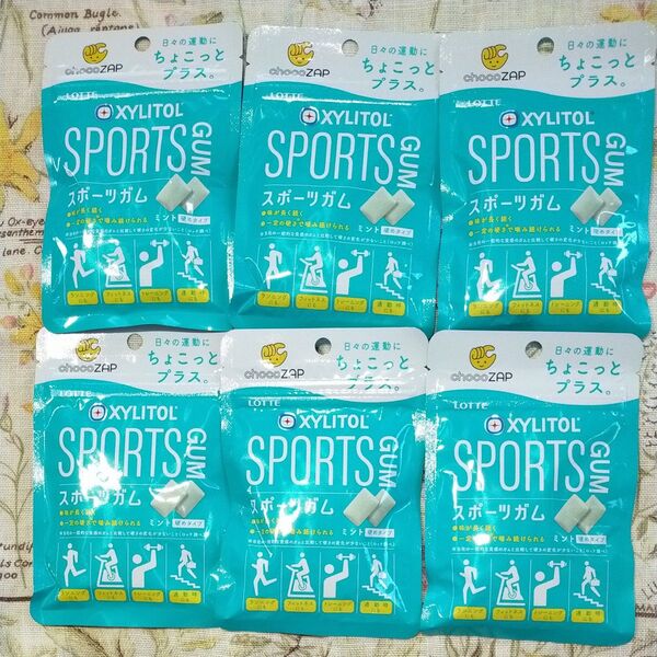 ロッテ キシリトール スポーツガム ミント味 6個セット