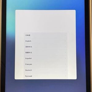 【極美品】【バッテリー100%】iPad 第9世代 Apple Wi-Fiモデル