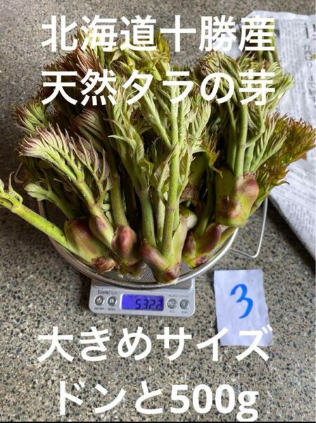 北海道十勝産 天然 タラの芽 3