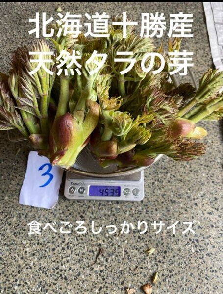 北海道十勝産 天然 タラの芽 3