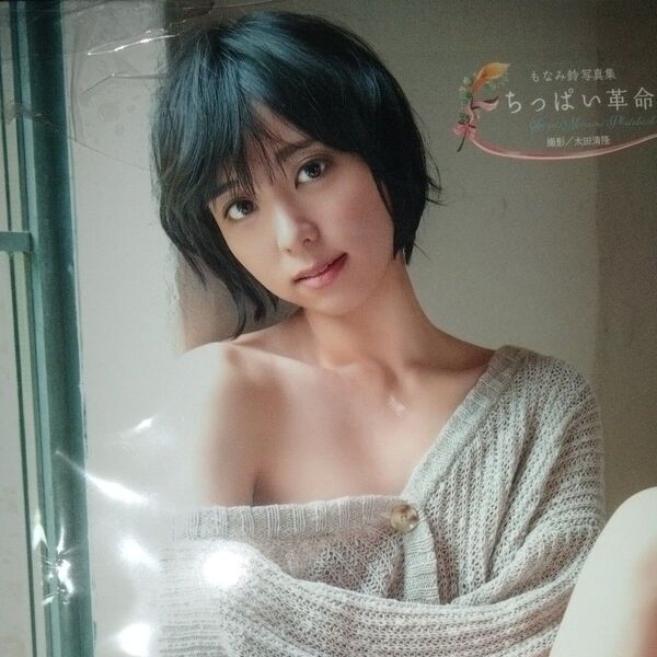 もなみ鈴写真集 ちっぱい革命【価格相談可1100円以下は不可】