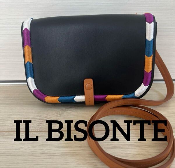 IL BISONTE イルビゾンテ レザー ショルダーバッグ 斜め掛け メッセンジャーバッグ 黒×マルチカラー 刺繍