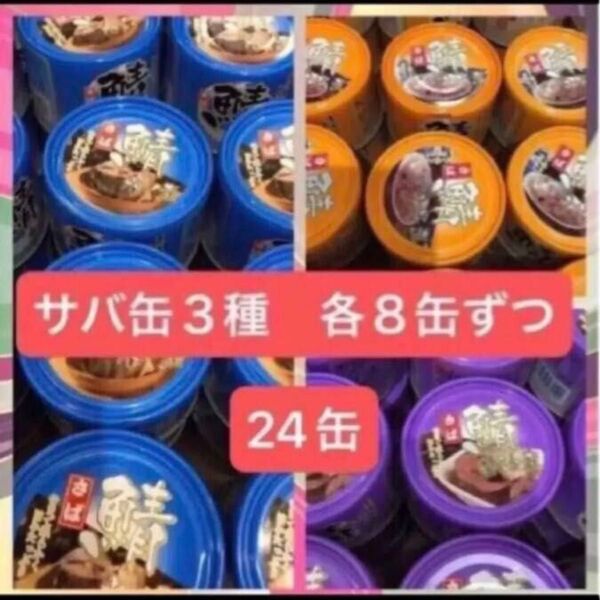 サバ缶 3種 各8缶ずつセット 【鯖水煮缶、鯖味噌煮缶、鯖油煮缶】【計24缶】賞味期限、2027.6. 2027.10. 等