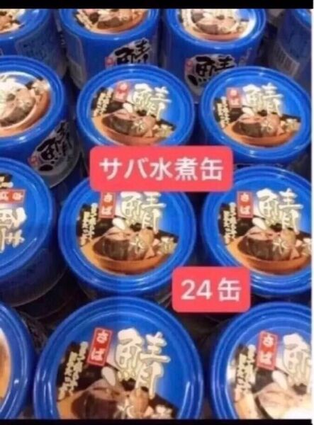 缶詰 鯖缶 サバ缶 サバ水煮缶 24缶 【賞味期限、2027.9. 3027.10. 2027.11】