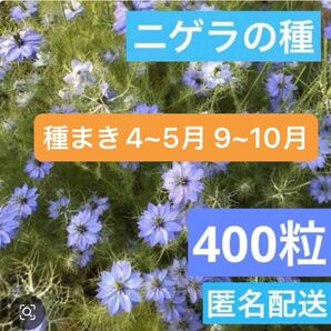 3 ニゲラの種 400粒