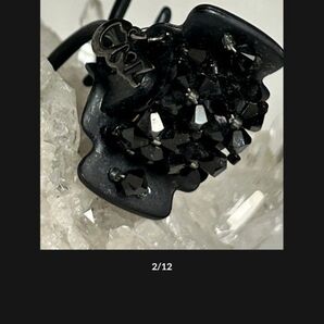 Complex Biz フローラルアイスデザートクリップ 黒 夜会巻 ハーフアップ パーティーアレンジ コンプレックスビズ