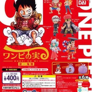 ワンピの実 第一海戦 コンプセット