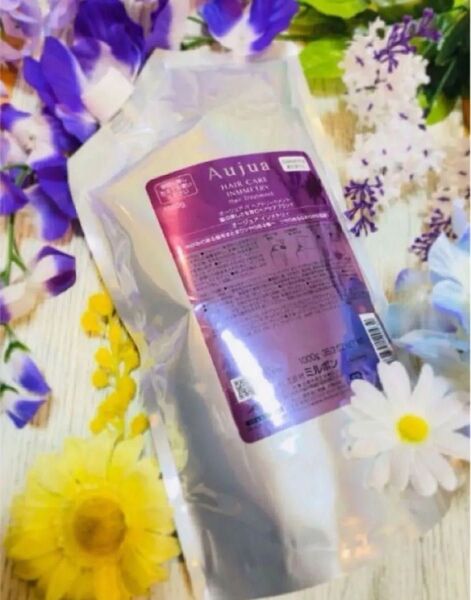 ミルボン オージュア インメトリィ ヘアトリートメント 1000g