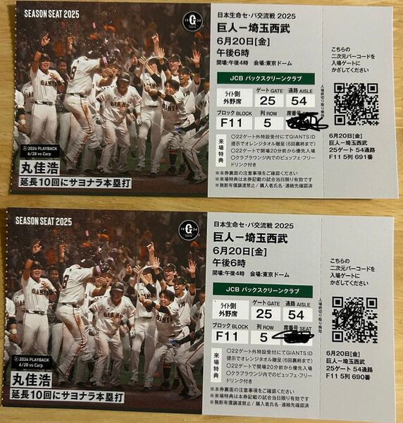 東京ドーム野球観戦(ペア席)チケット 巨人ー埼玉西武- 6月20日(金) 2枚