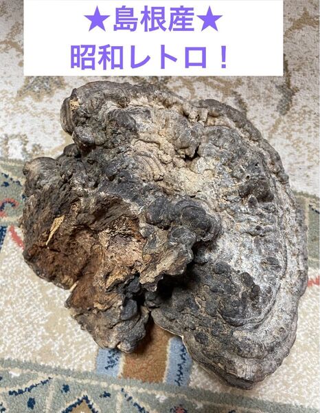 島根産 昭和レトロ さるのこしかけ 猿の腰掛け レトロ