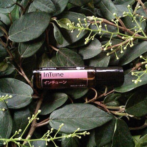 doTERRA ドテラ InTune インチューン 10ml ロールオン(新品未開封)