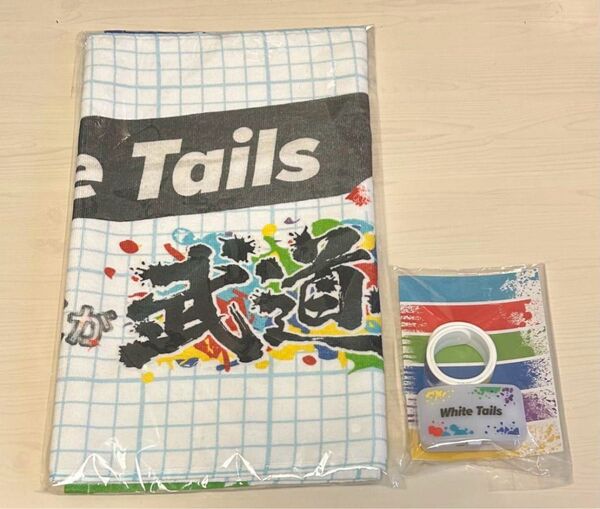 ワイテルズ 武道館 タオル 制御式ライト