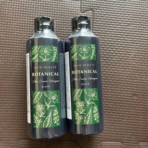 フューチャーラボ ボタニカルカラークリームシャンプー ブラック|カラーシャンプー ボタニカルシャンプー