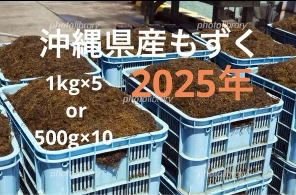 2025年産 沖縄県産 もずく(塩蔵) 1kgパック×5 漁師直送 送料無料